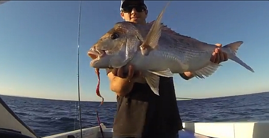 VIDEO: The Long Reef Pirate Crew